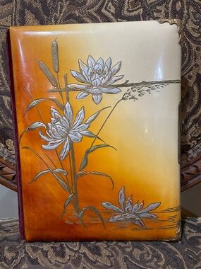 Antique 1880s Art Nouveau celluloid velvet  photo album